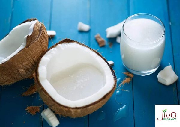 Leche de coco orgánica de 13.5 onzas (paquete de 12) Premium - sin endulzar, completo 18% de grasa, vegano, paleo, sin goma guar, libre de BPA, keto Friendly - por Jiva Organics - Imagen 2