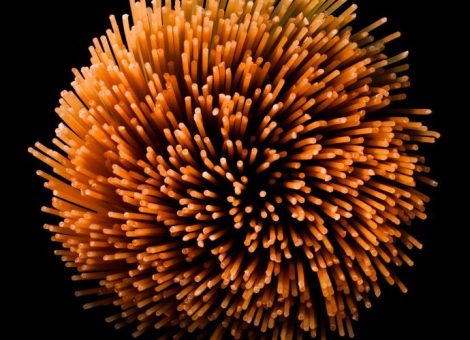 Salsa, boloñesa, pasta, espaguetti