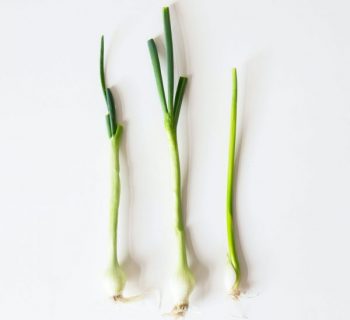 Cebollino Rollitos Vietnamitas